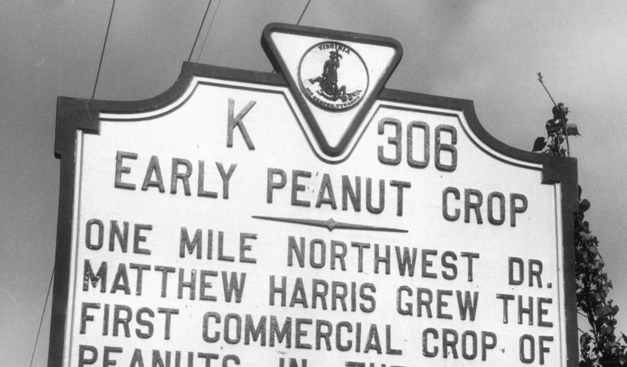 Peanuts